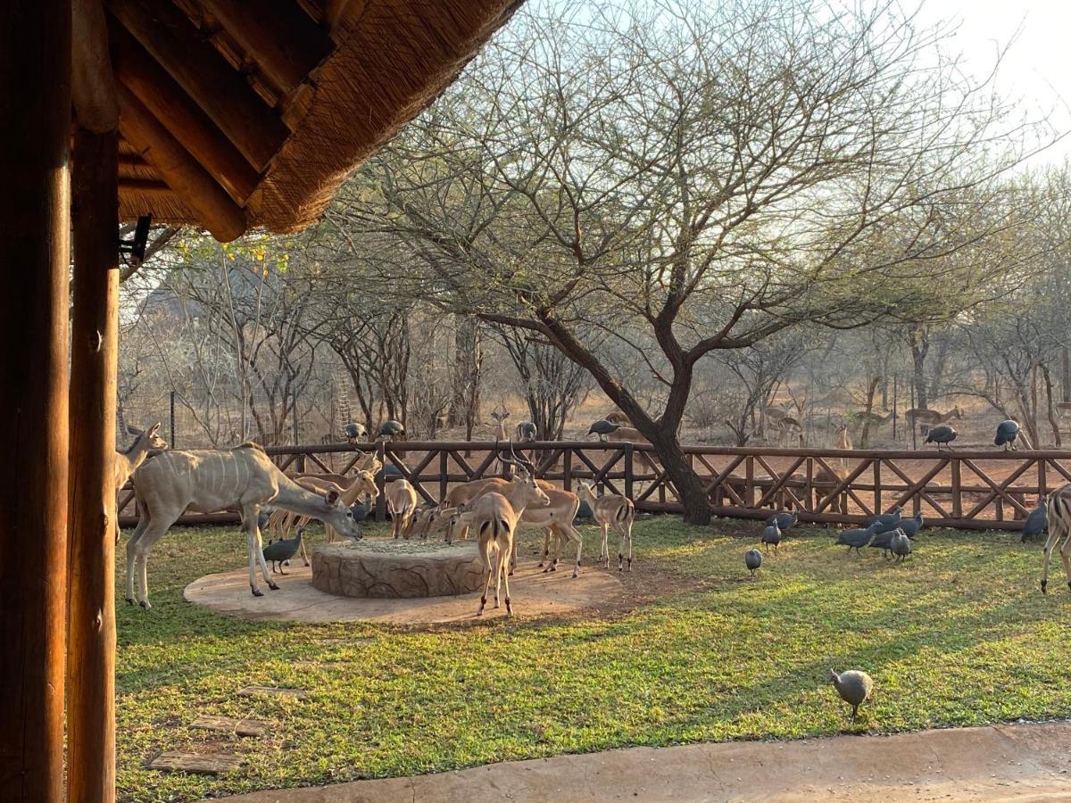Genet House Holiday Home Marloth Park Exteriér fotografie