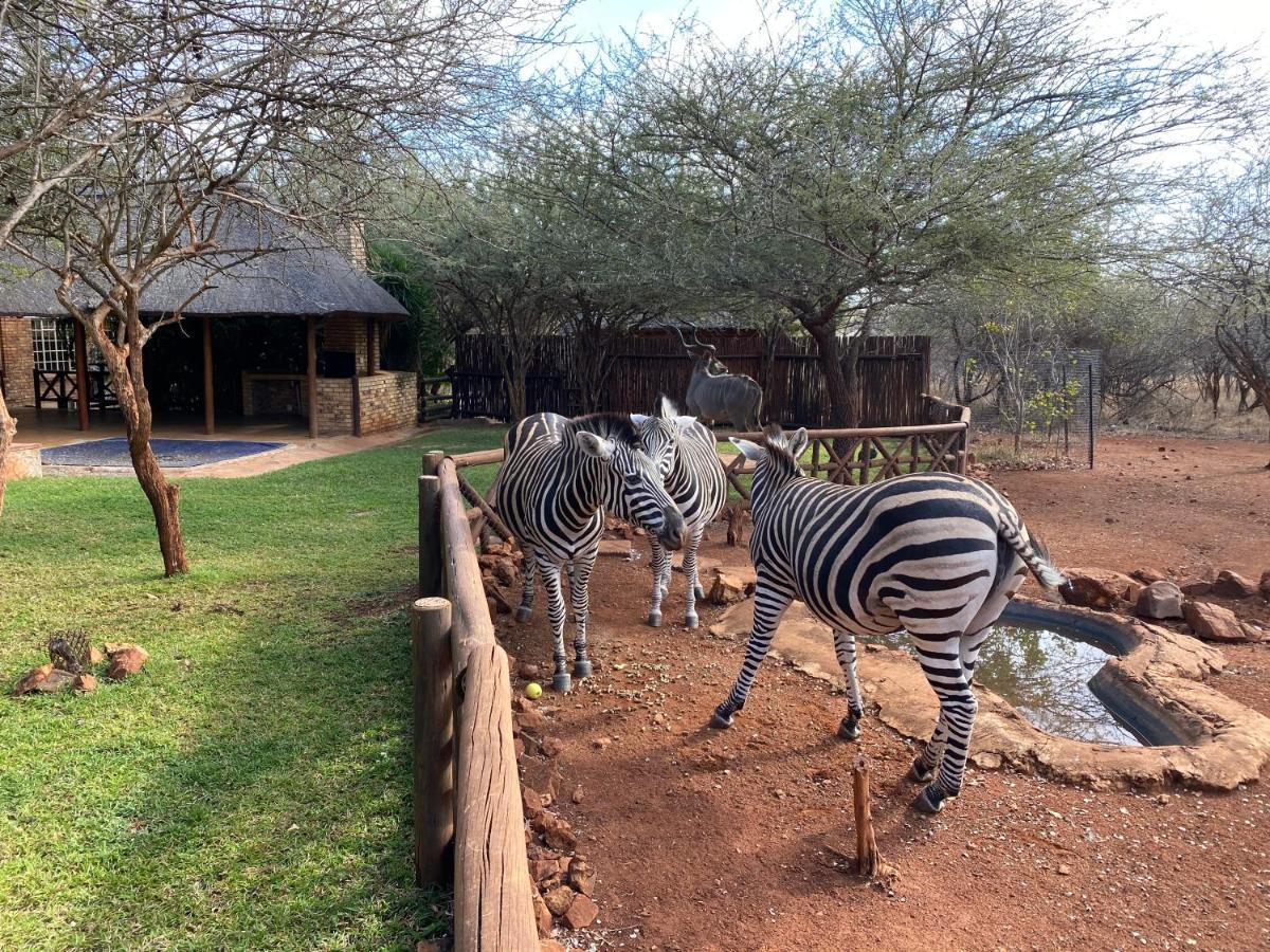 Genet House Holiday Home Marloth Park Exteriér fotografie