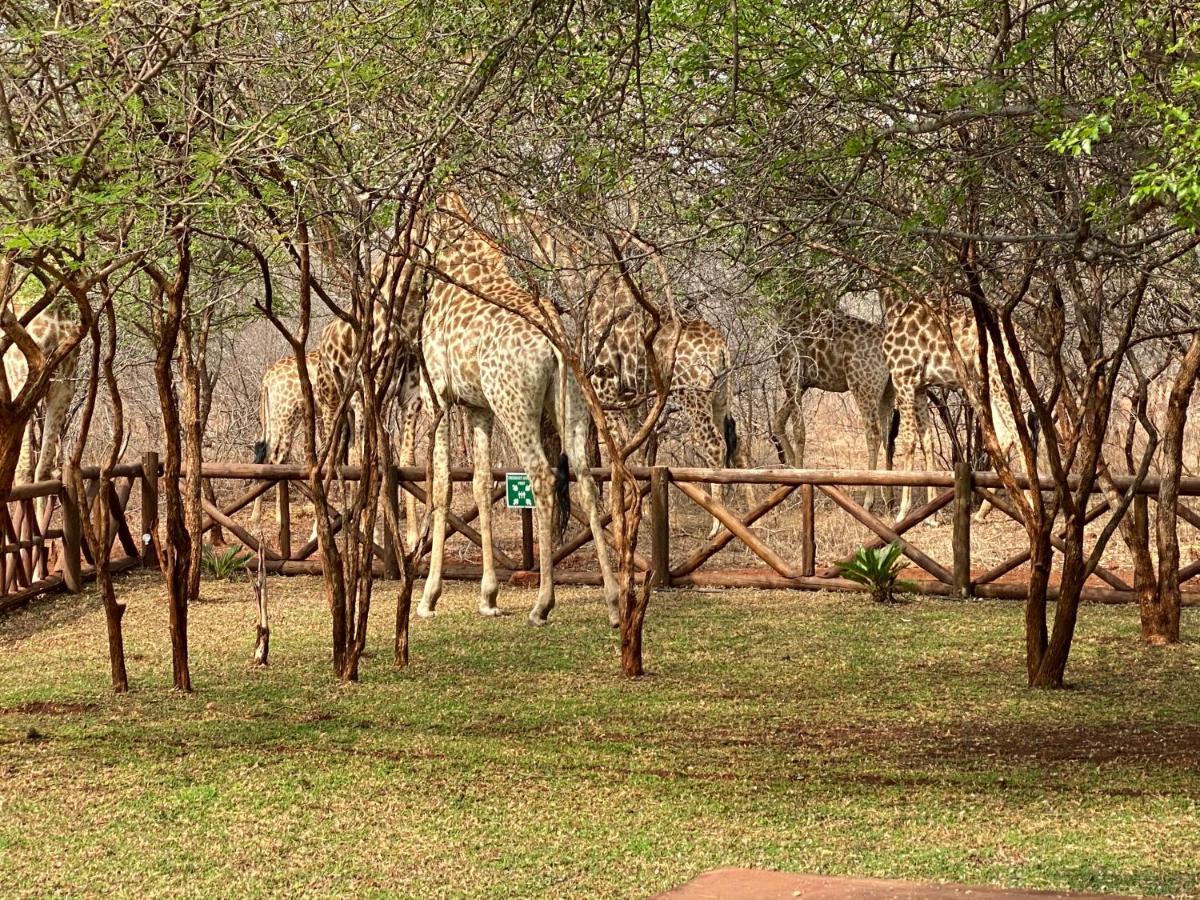 Genet House Holiday Home Marloth Park Exteriér fotografie