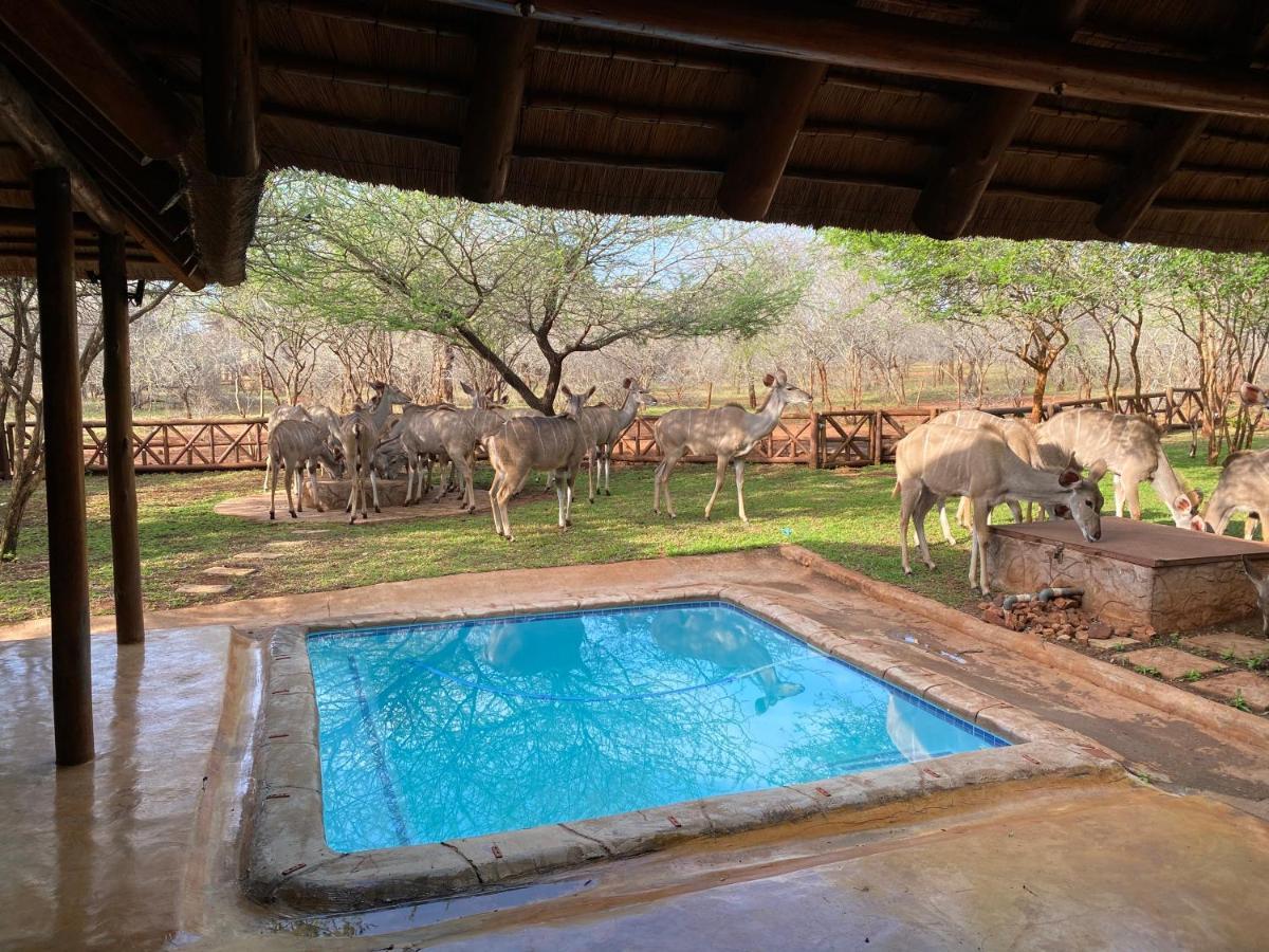 Genet House Holiday Home Marloth Park Exteriér fotografie