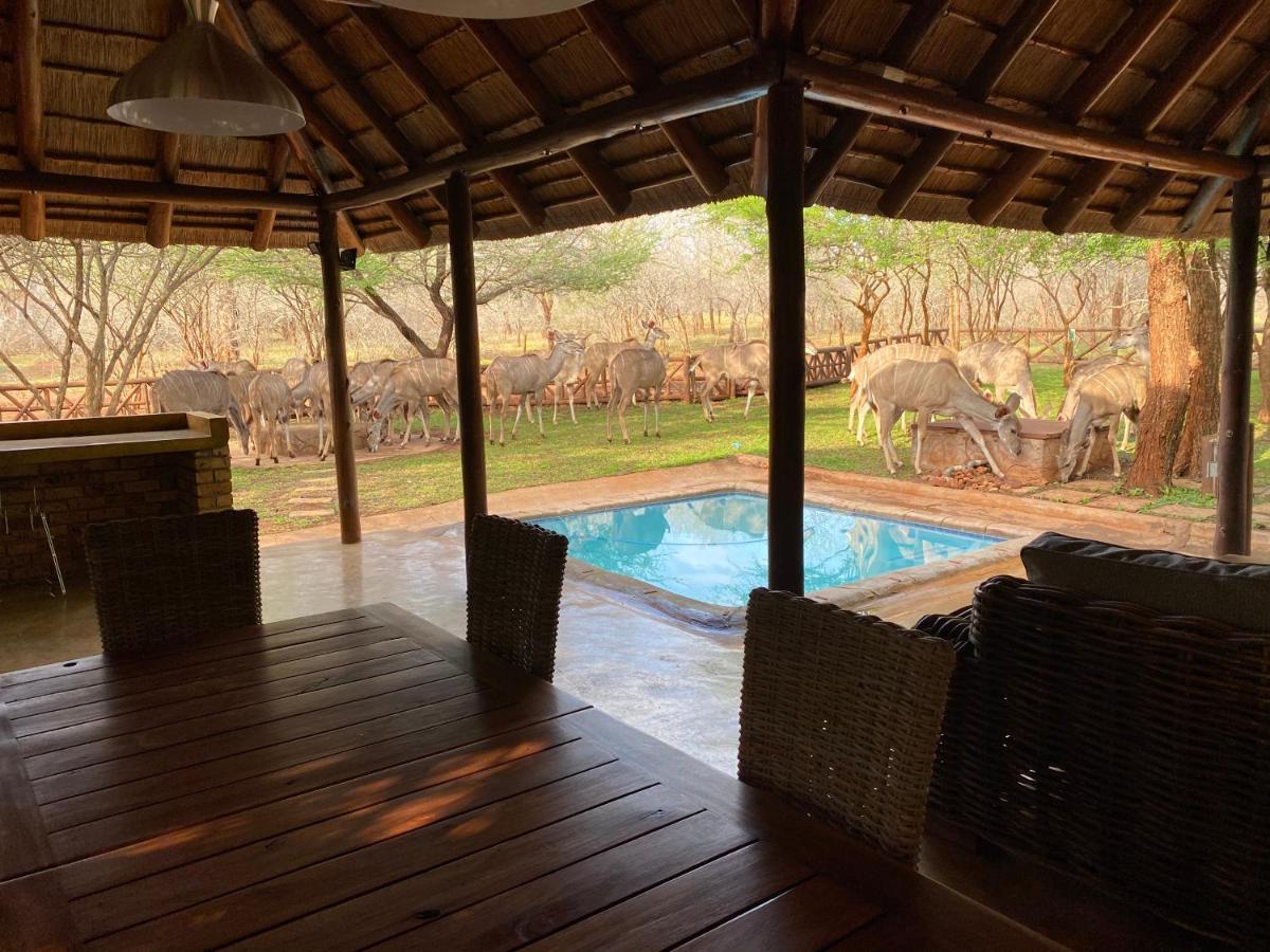 Genet House Holiday Home Marloth Park Exteriér fotografie